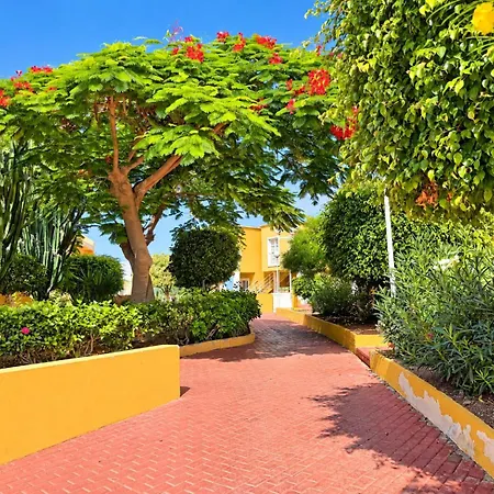 Orlando Very By Altamarhomes Apartamento *